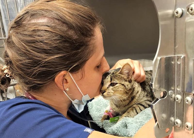 Animal Emergency Clinic of midMaine emergency veterinary hospital